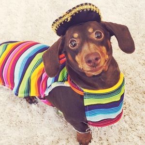 Meet your Posher, Meghan